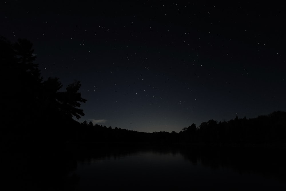 silhouette of trees during night time