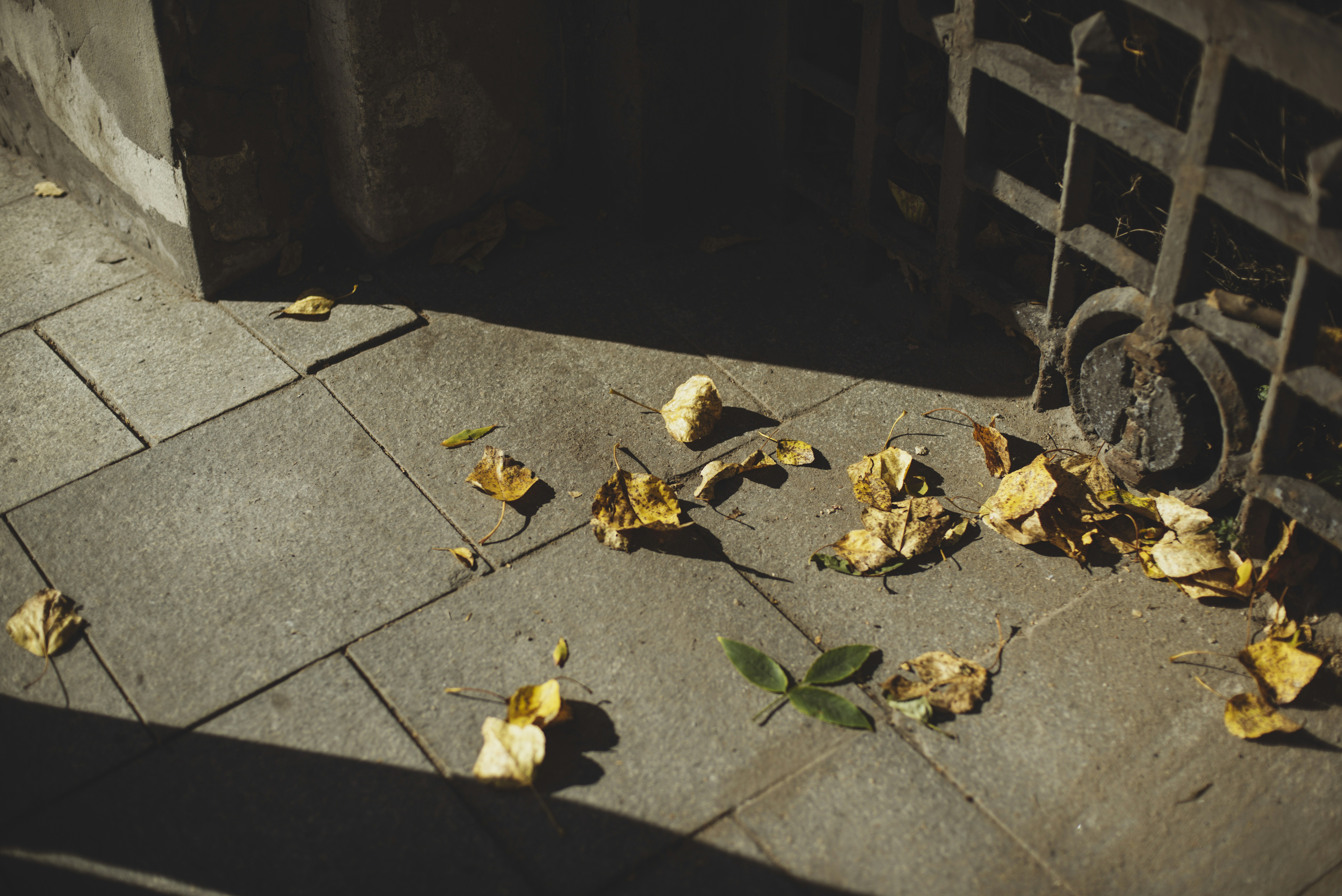 Photo by yuli_superson