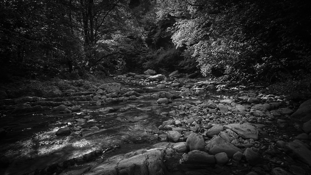 gray rocks on river during daytime