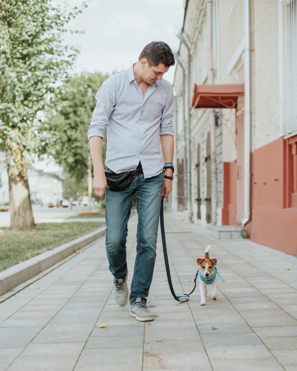 The Best Dog Leash to Buy on Amazon Right Now!