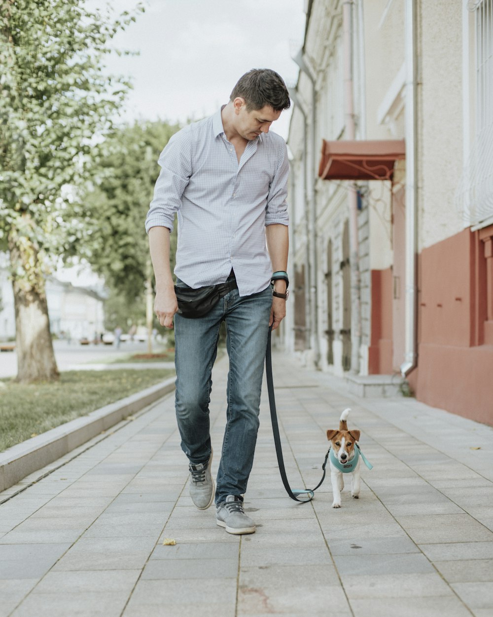 Mann in weißem Poloshirt und blauer Jeans mit braunem Hund