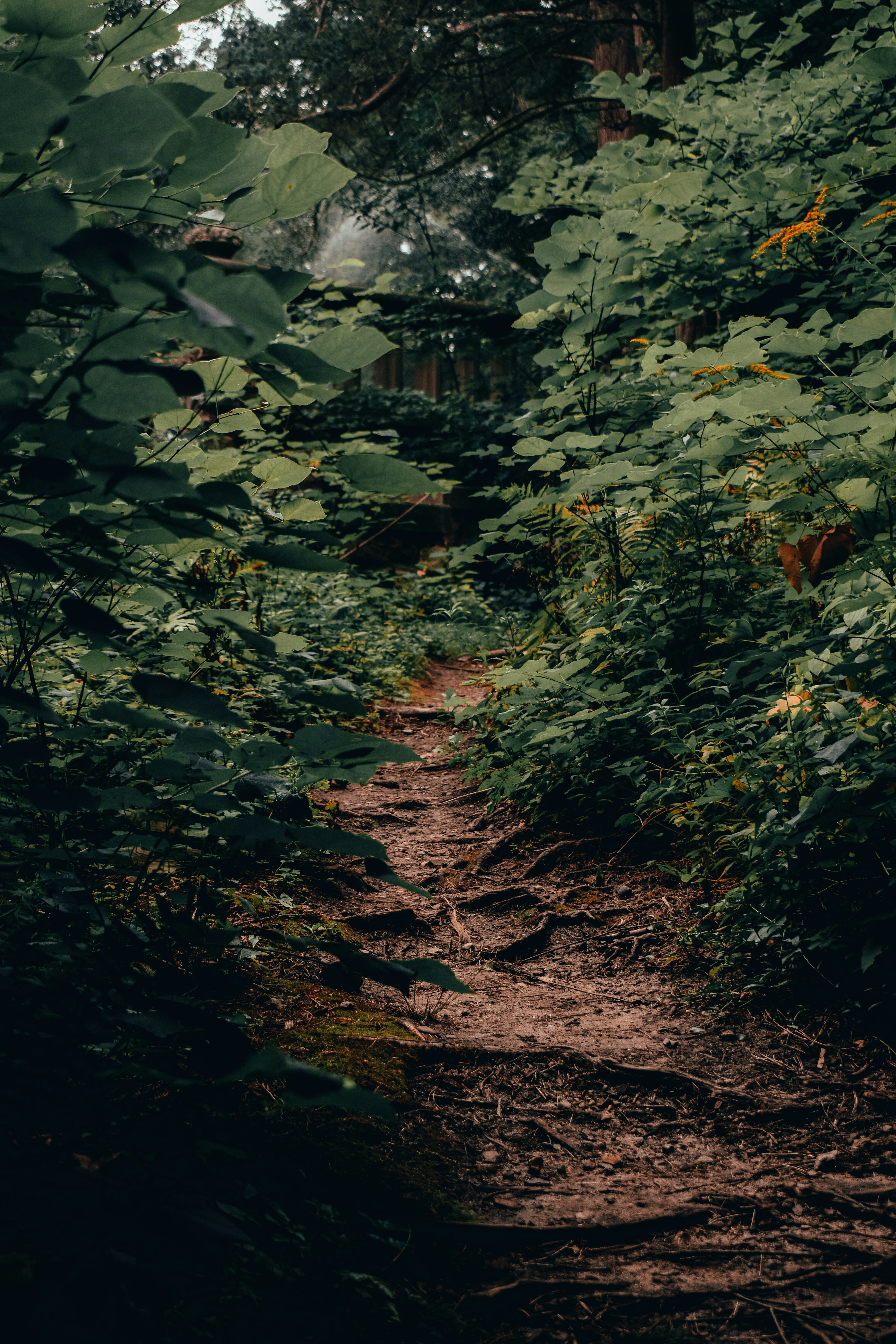 Photo by mariahhewines