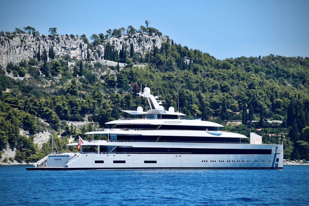 white cruise ship on sea near green trees during daytime