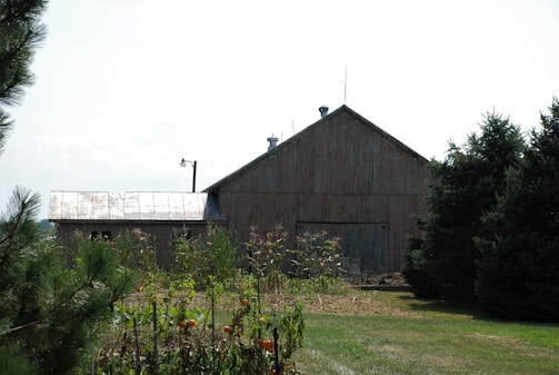 A rustic wooden barn stands in a grassy field surrounded by a well-maintained garden with plants and a few visible fruits. Tall evergreen trees border the setting, and a clear blue sky provides a serene backdrop. A vintage metal lamp post extends above the barn roof, adding to the rural charm.