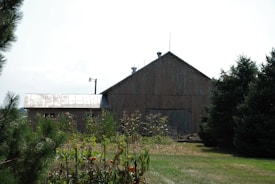 A rustic wooden barn stands in a grassy field surrounded by a well-maintained garden with plants and a few visible fruits. Tall evergreen trees border the setting, and a clear blue sky provides a serene backdrop. A vintage metal lamp post extends above the barn roof, adding to the rural charm.