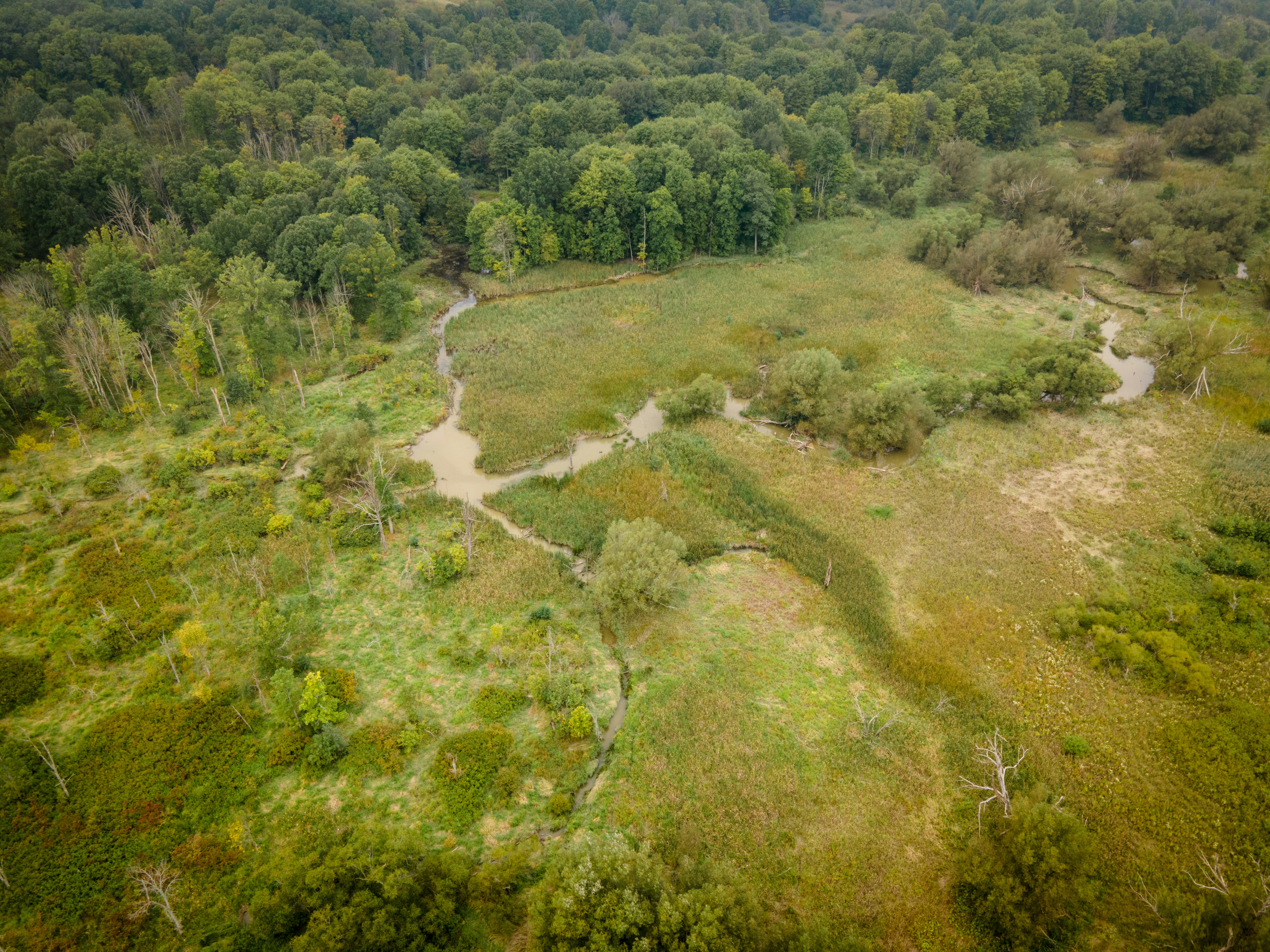 Photo by drkolomiyets