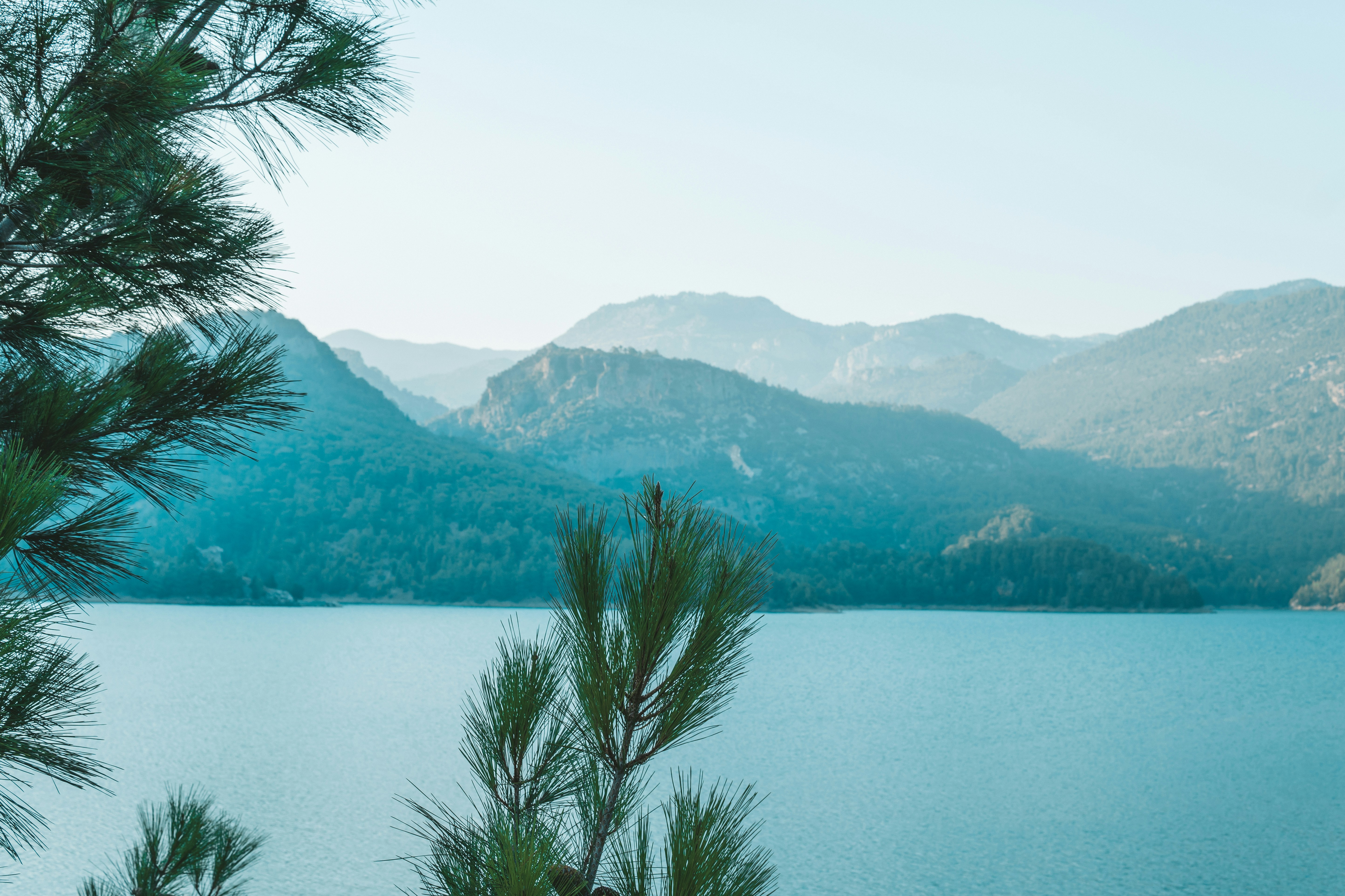 Photo by mertkahveci