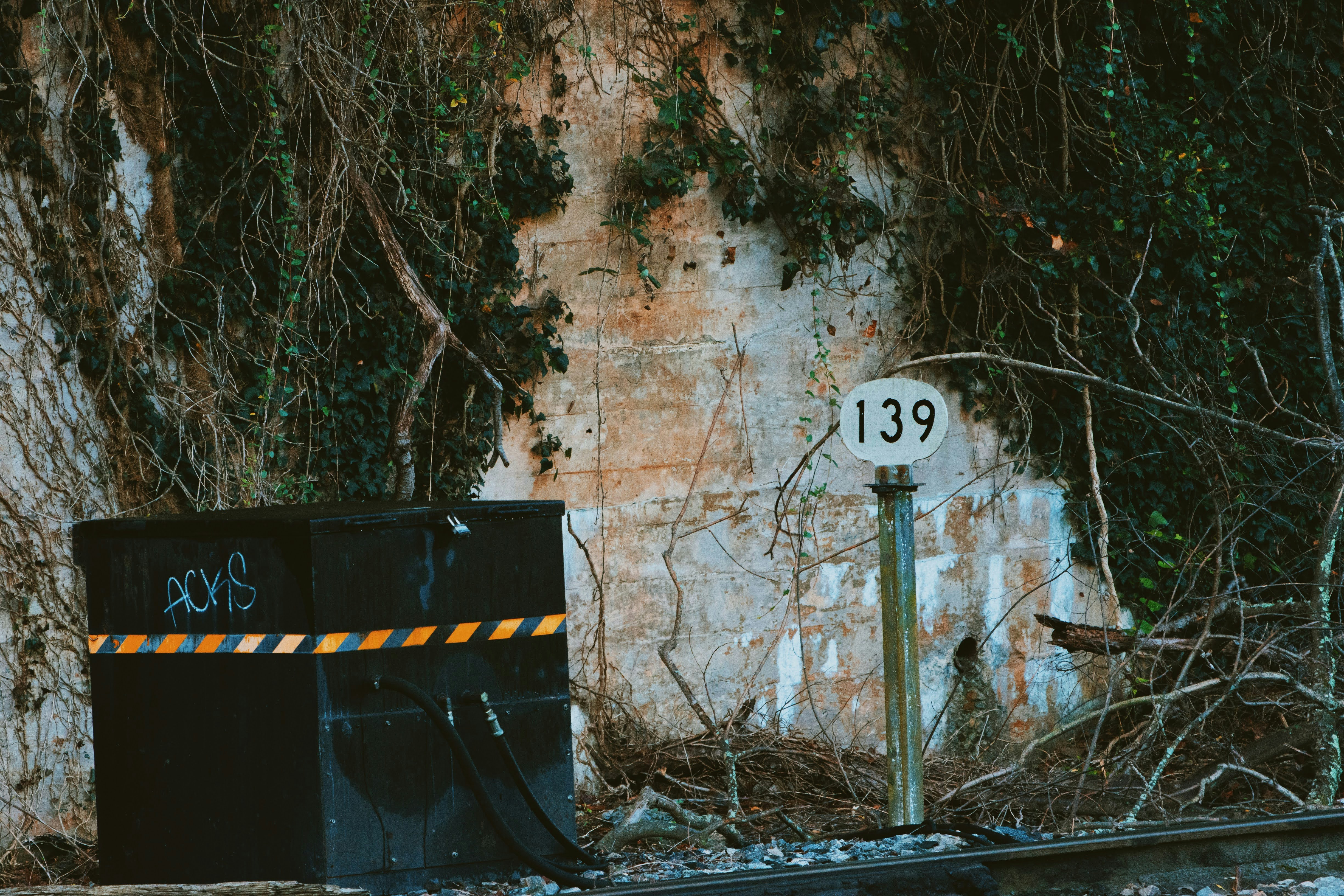 Photo by jvmespernell