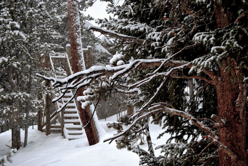 brown wooden fence covered with snow