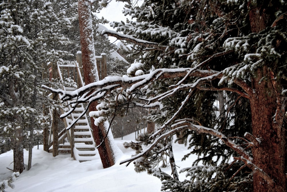 Valla de madera marrón cubierta de nieve