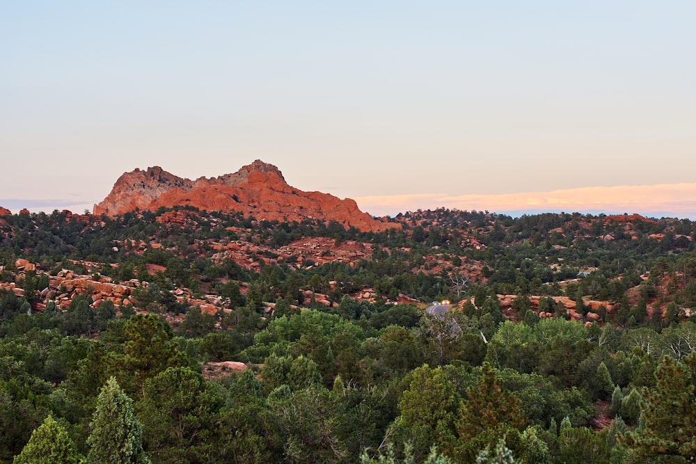 green trees and brown mountains during daytime