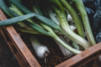 Fresh green onions are placed in a brown crate, with droplets of water visible on the vegetables, suggesting they have been recently washed or harvested.
