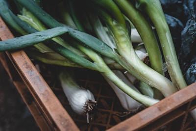 Fresh green onions are placed in a brown crate, with droplets of water visible on the vegetables, suggesting they have been recently washed or harvested.