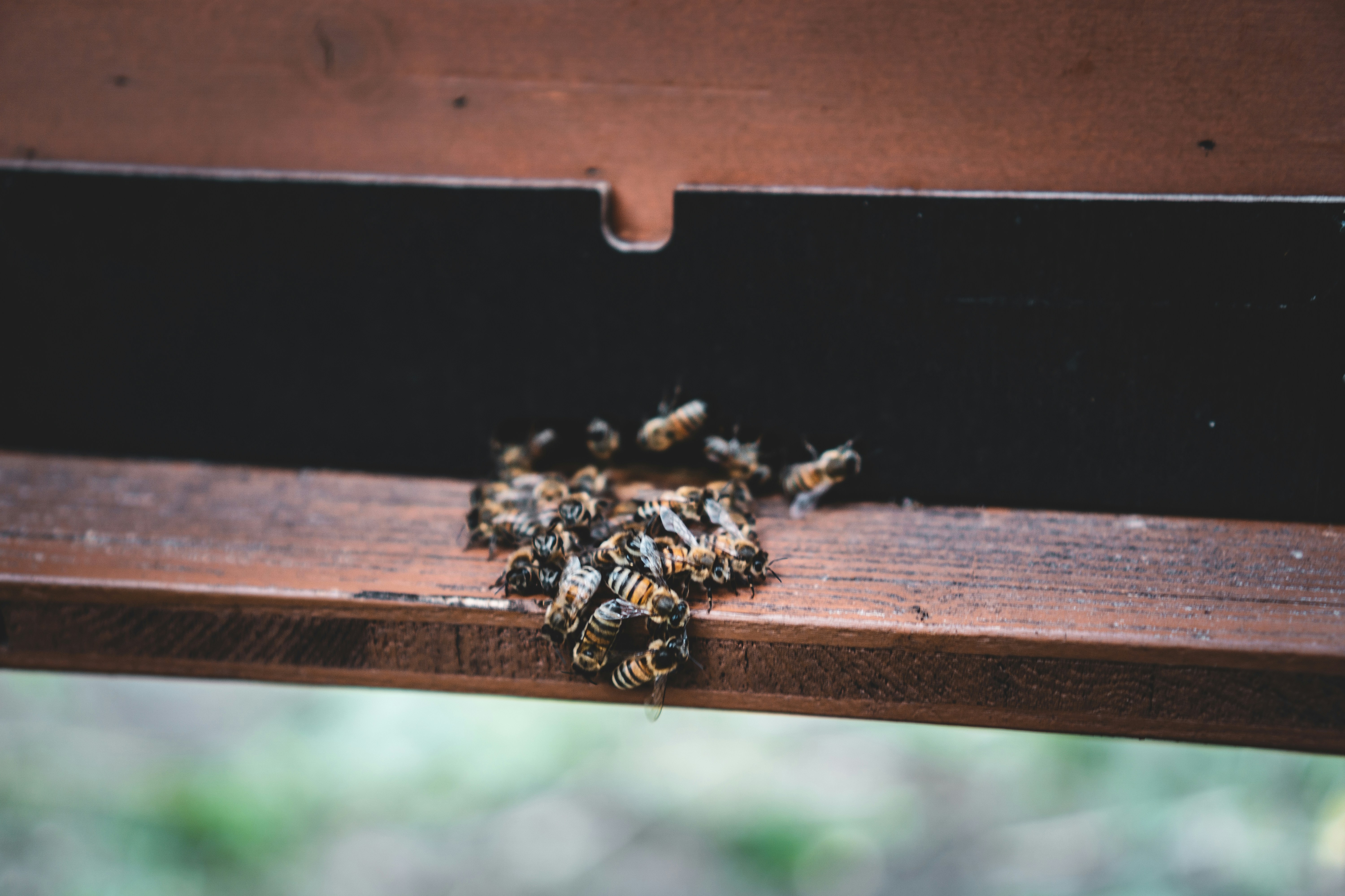 공공 API 연동, 실무에서 바로 쓰는 꿀팁 공개