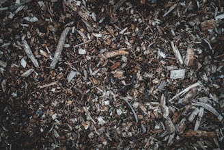 Mulch