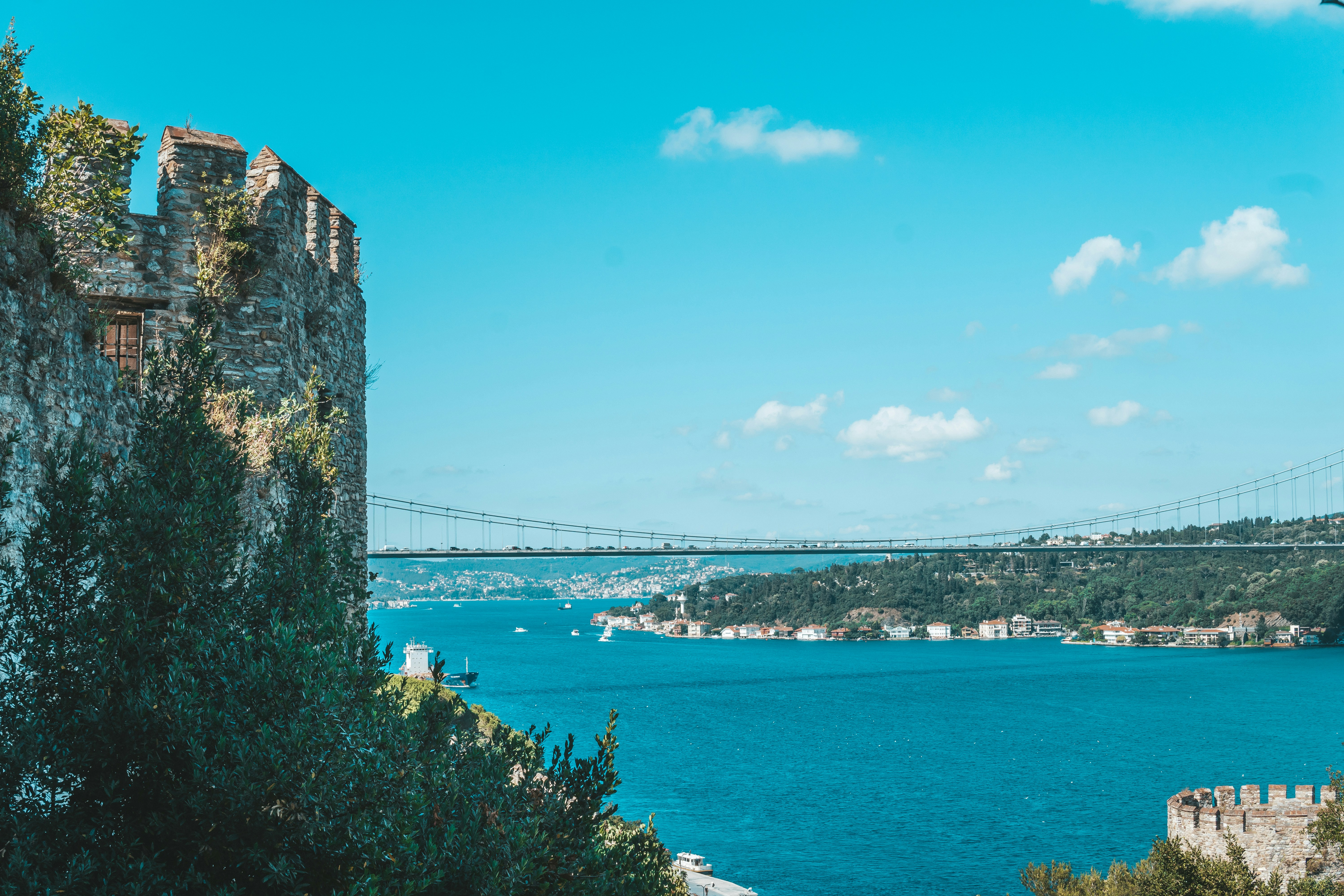 green trees near body of water under blue sky during daytime, 