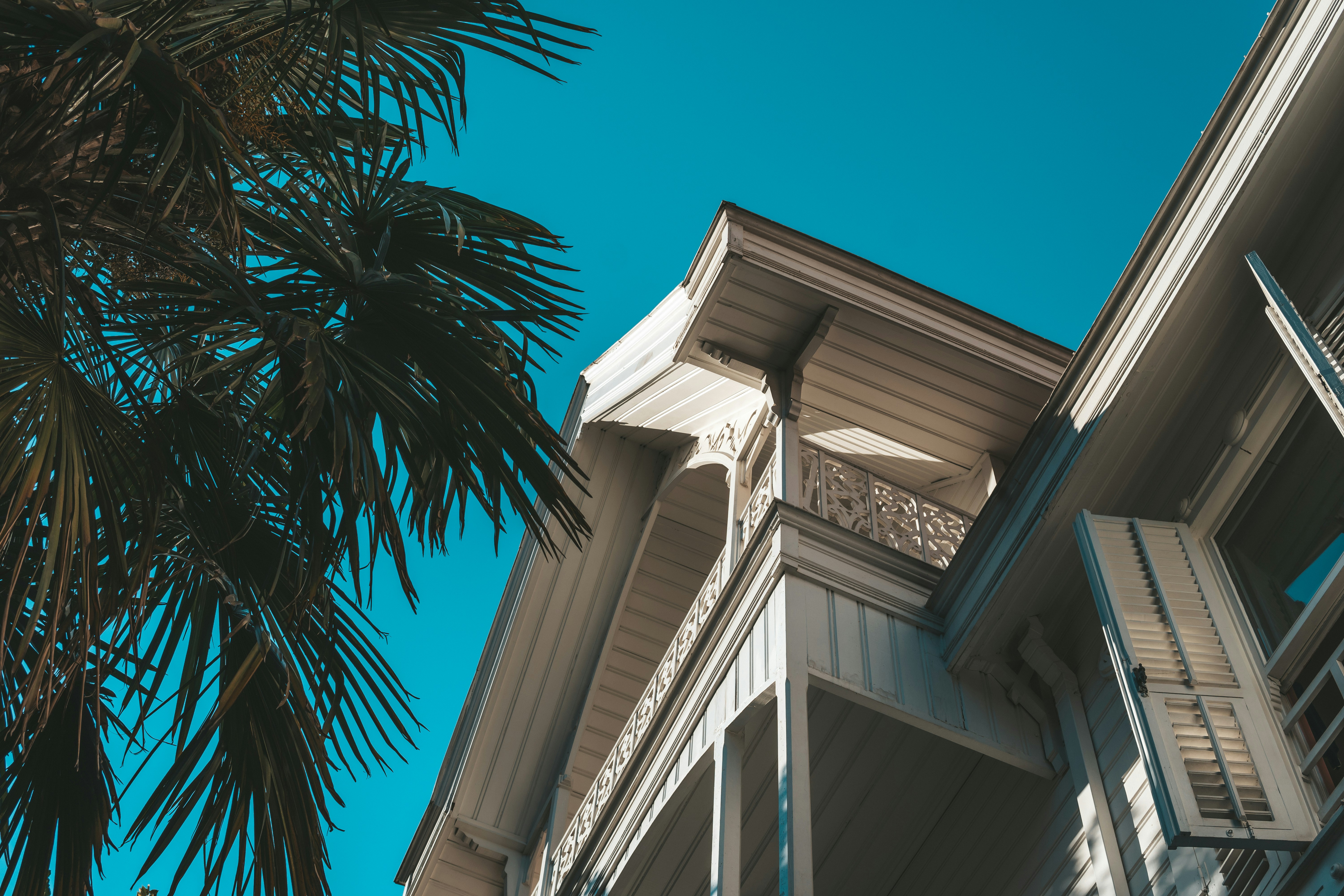 white wooden house near palm tree under blue sky during daytime