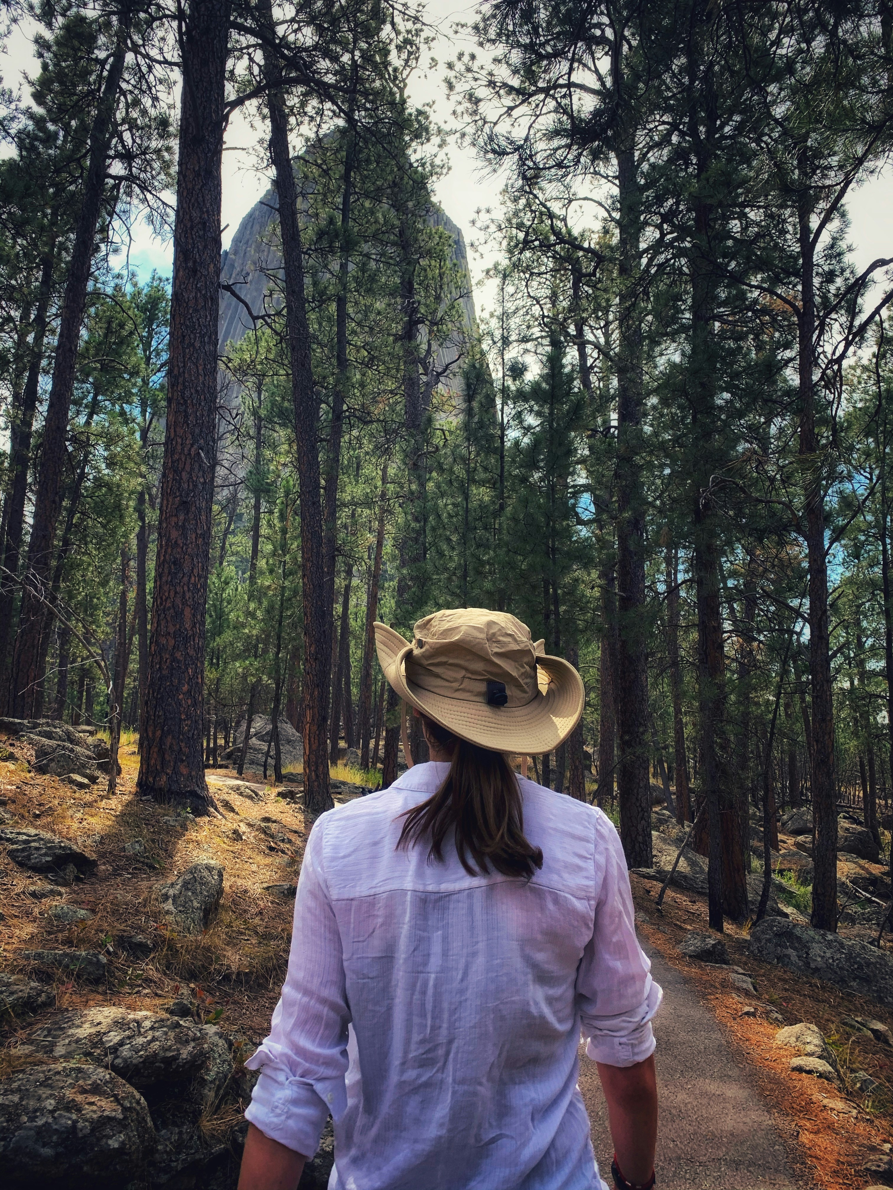 Hiker seen from behind on a pine forest trail in a tan wide-brim hat and a white long-sleeve shirt