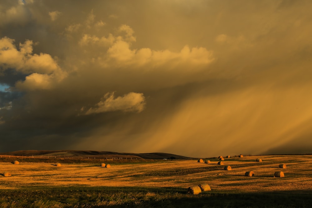 brown grass field under cloudy sky during daytime