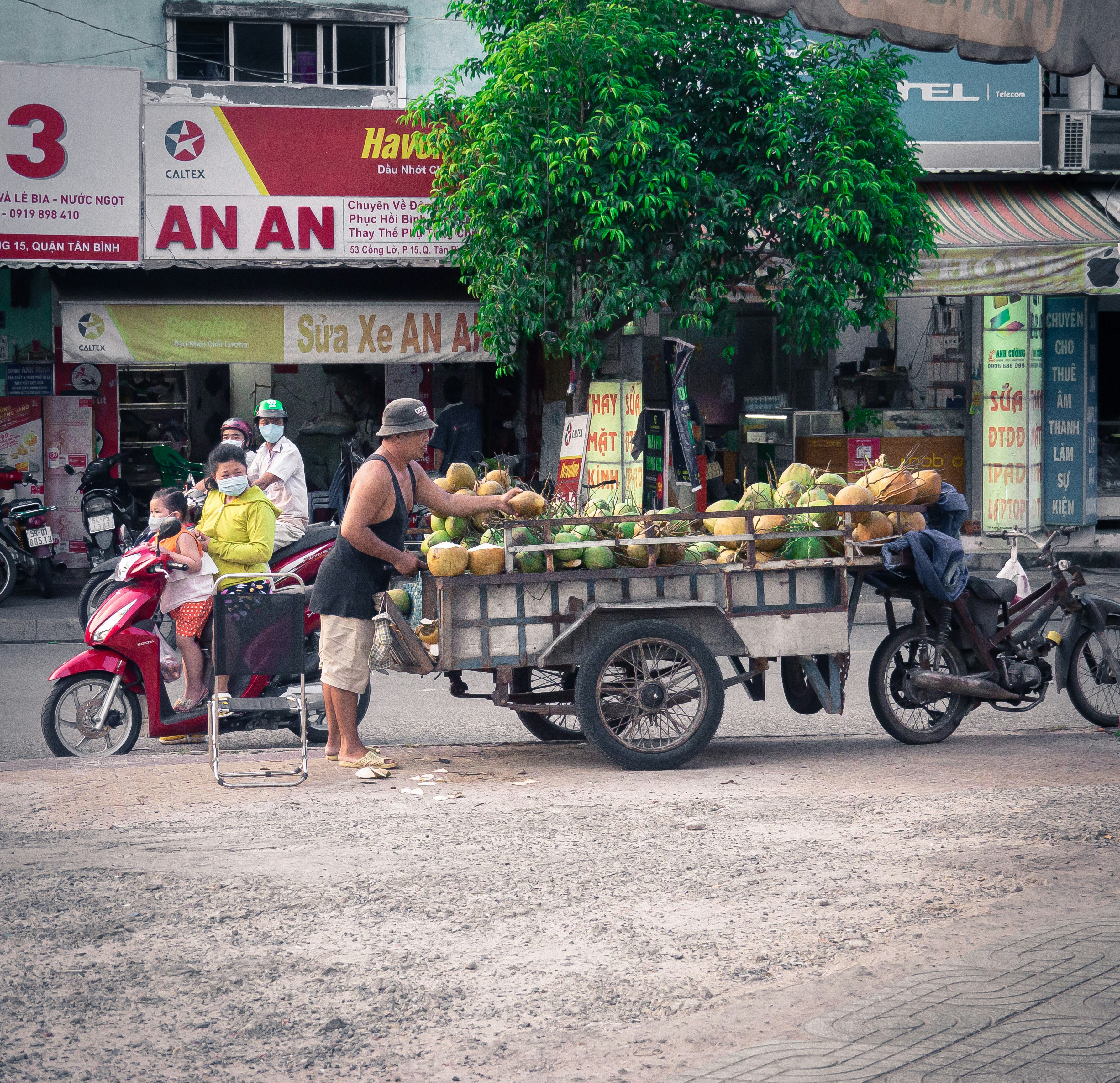 Sự Tăng Trưởng Mạnh Mẽ Của Ngành Xuất Khẩu Mía Việt Nam