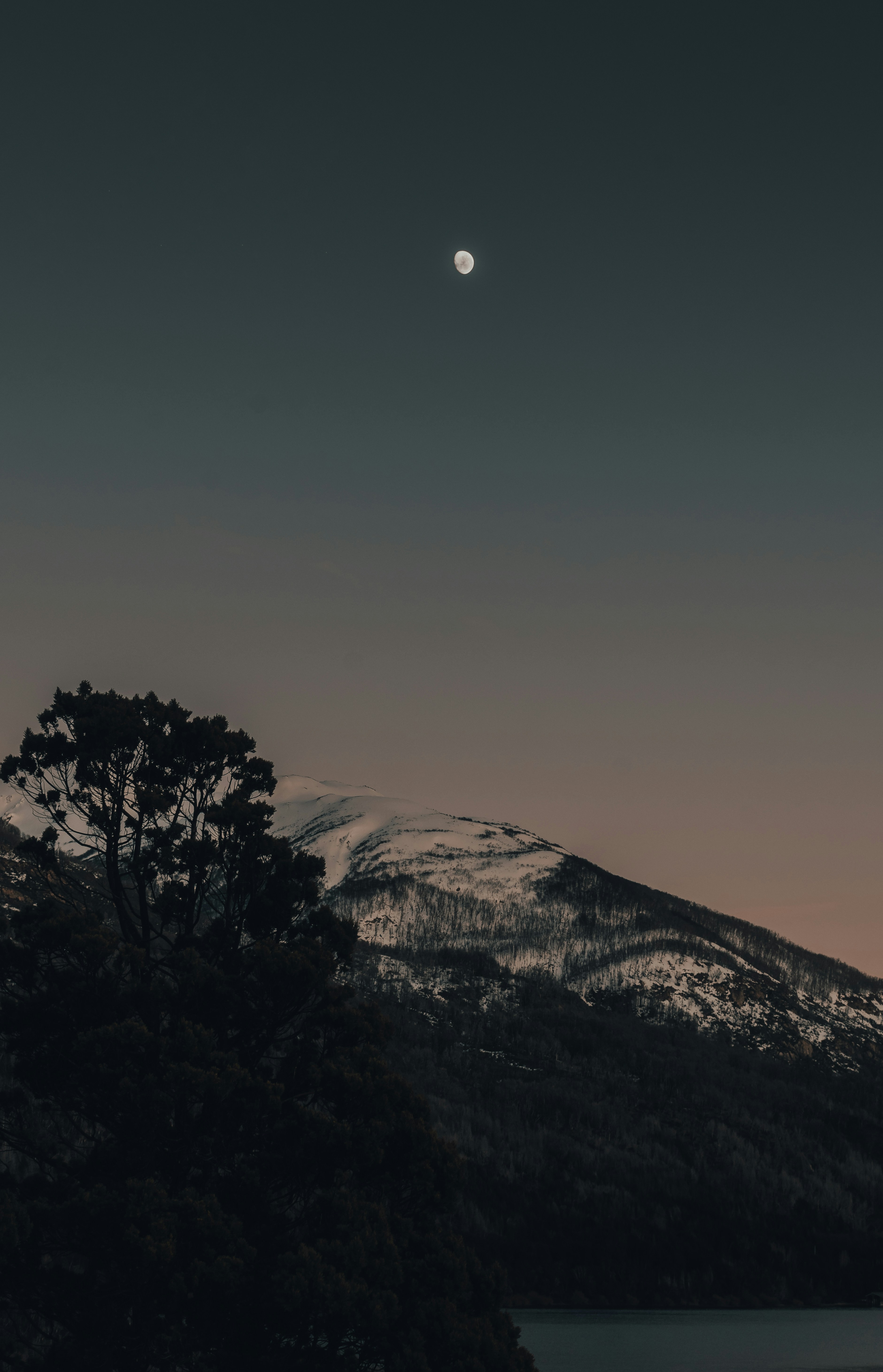 Photo by gasparzaldo