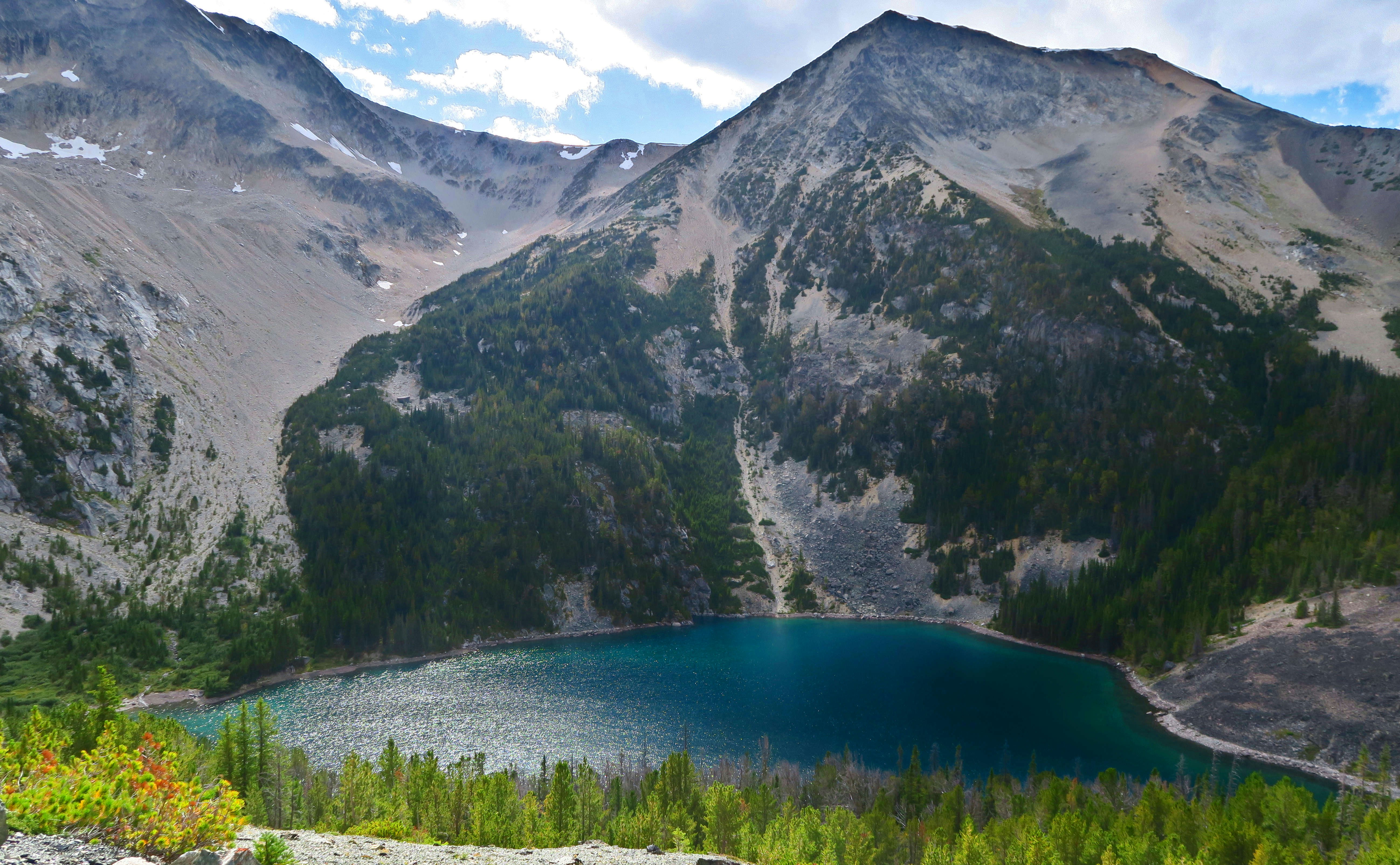 Photo by better_root