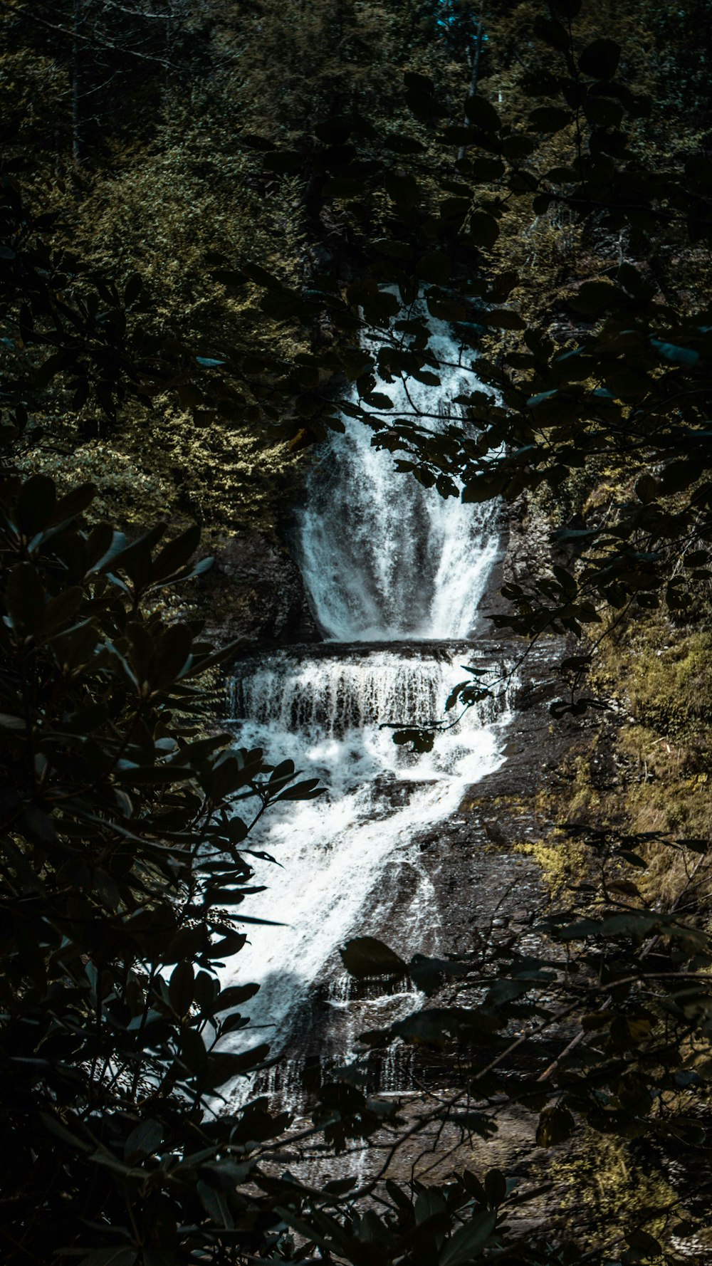 water falls in the middle of the forest