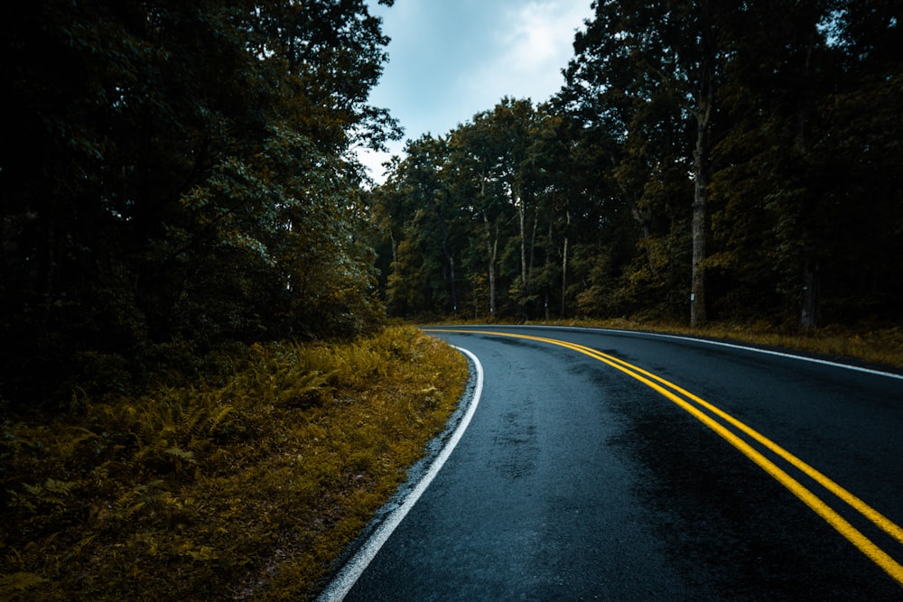 gray concrete road between green trees under white clouds during daytime