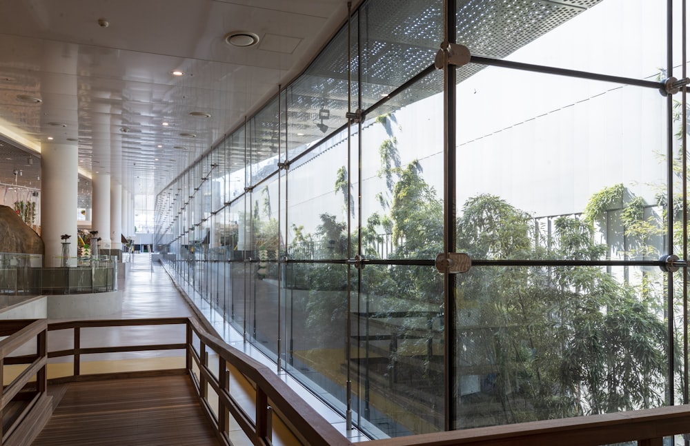 brown wooden bench near glass wall