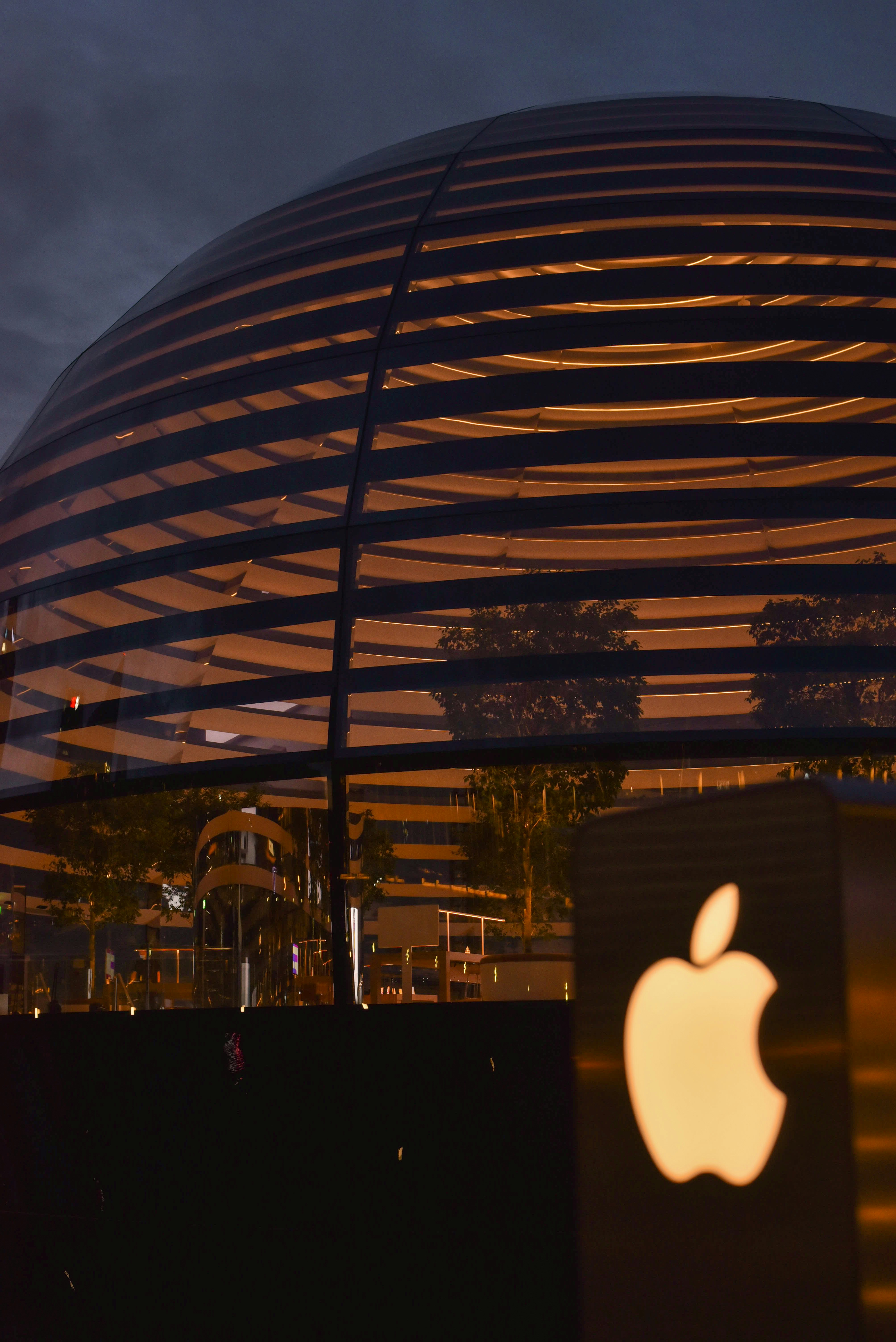 people walking on the street during night time