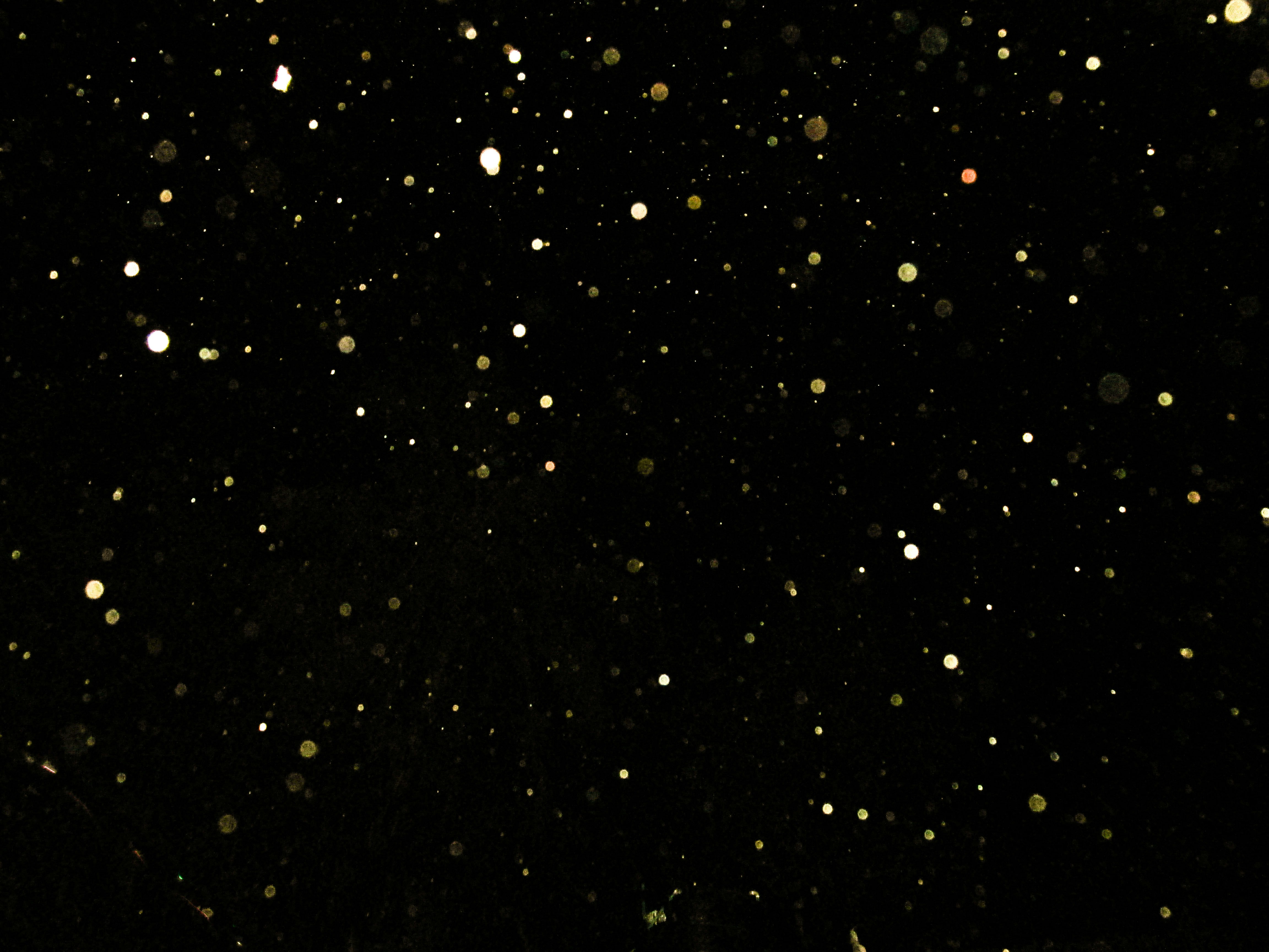 Photo by hasibuzzaman