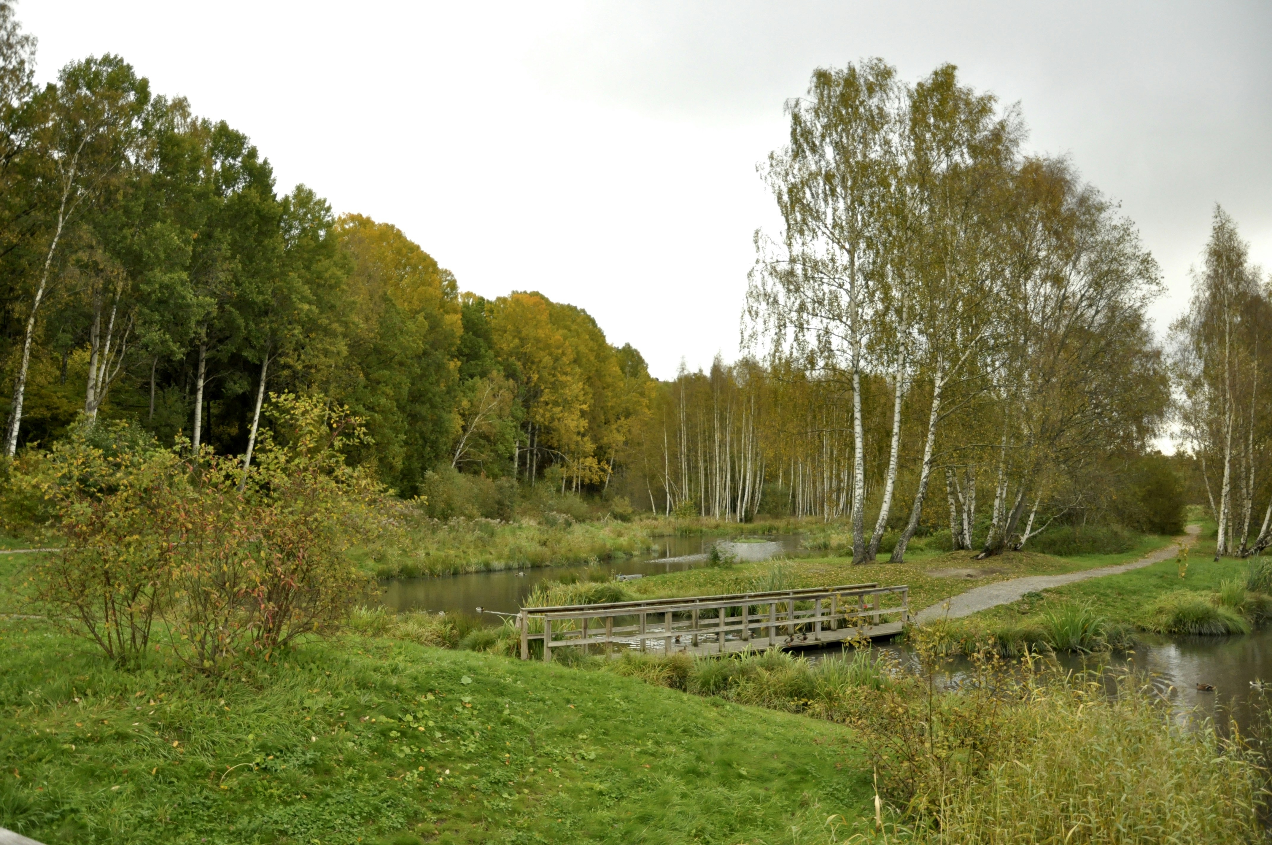 Image by Anatolii Tkachuk via Unsplash