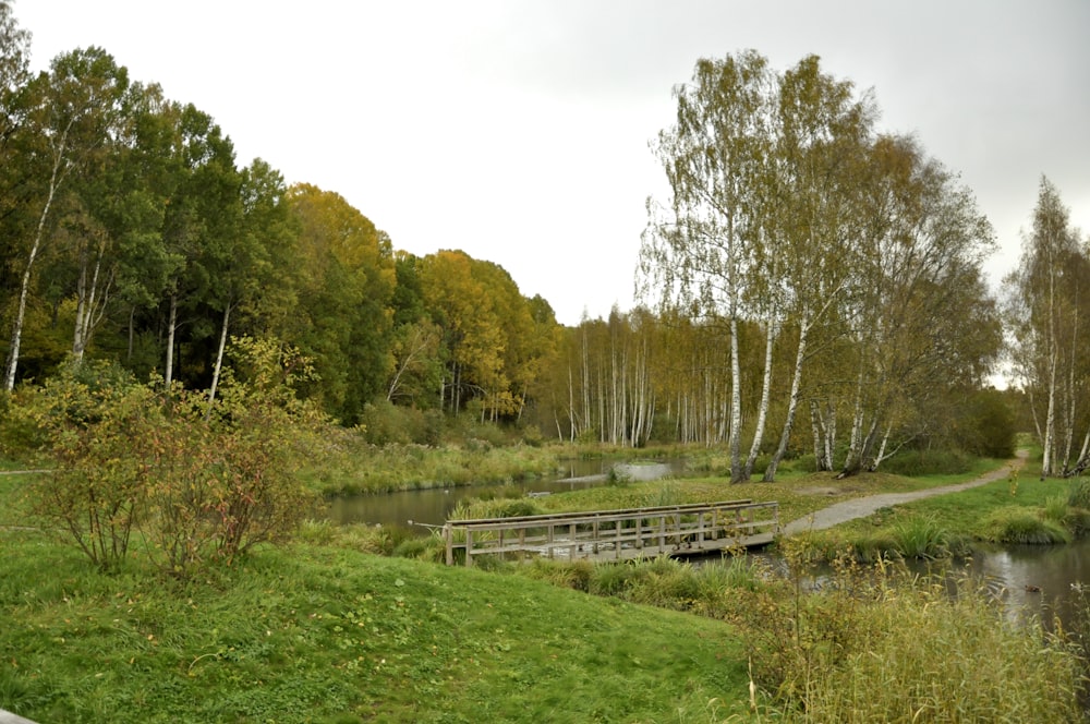 green grass field with trees