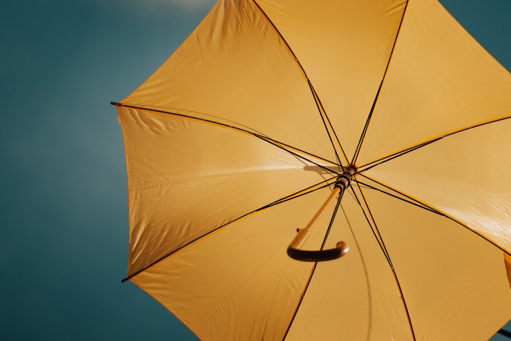 pink umbrella under blue sky