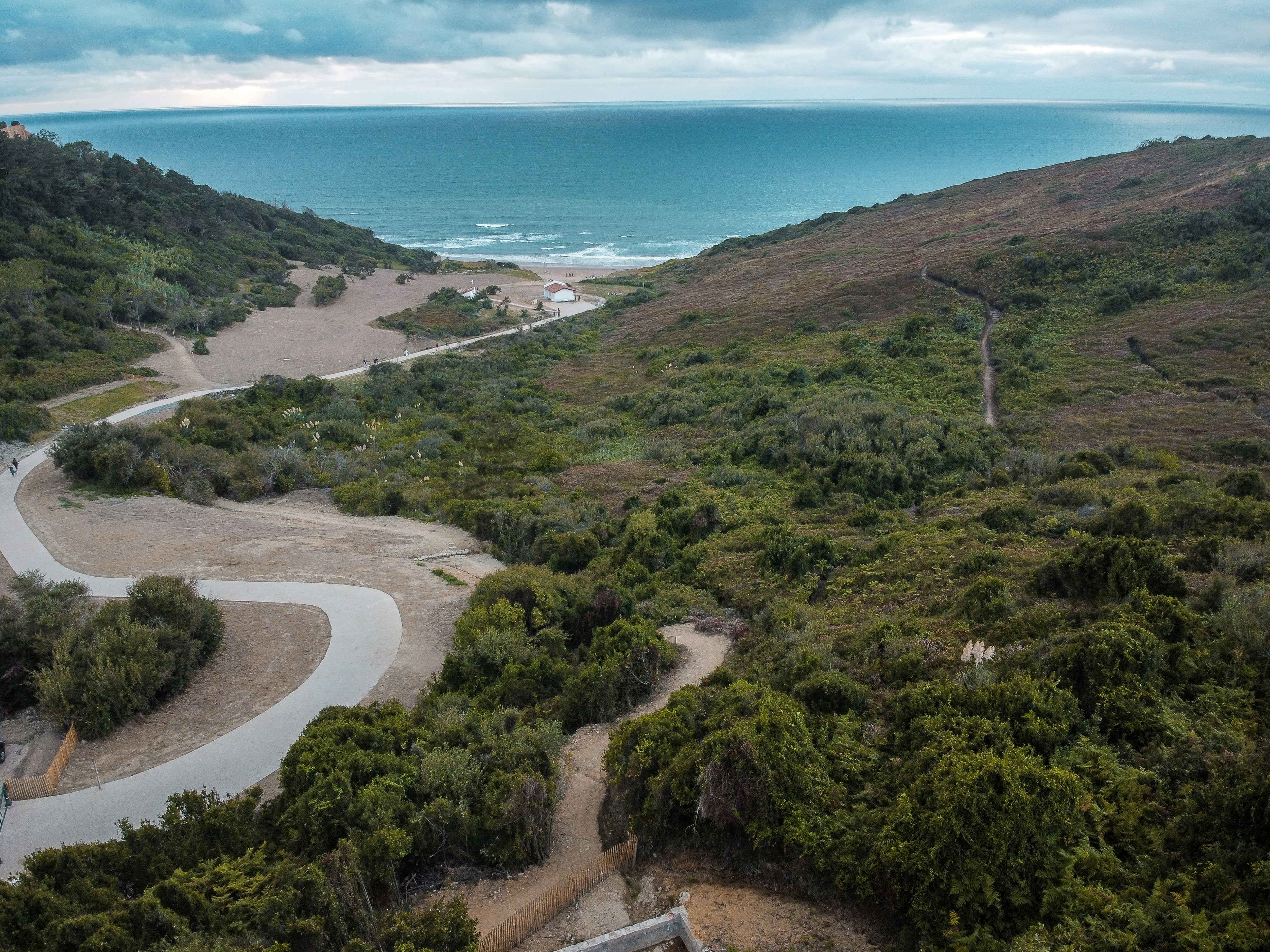 green grass field near body of water during daytime
