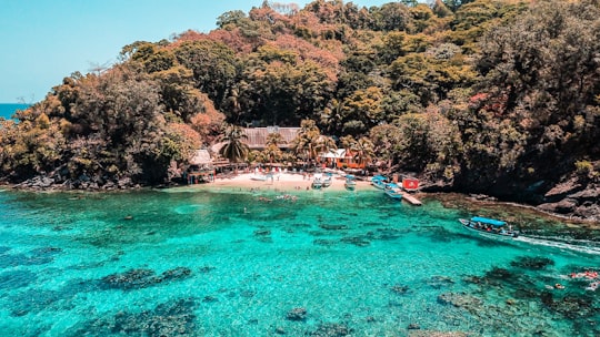 green trees beside body of water during daytime in Cayos Cochinos Honduras