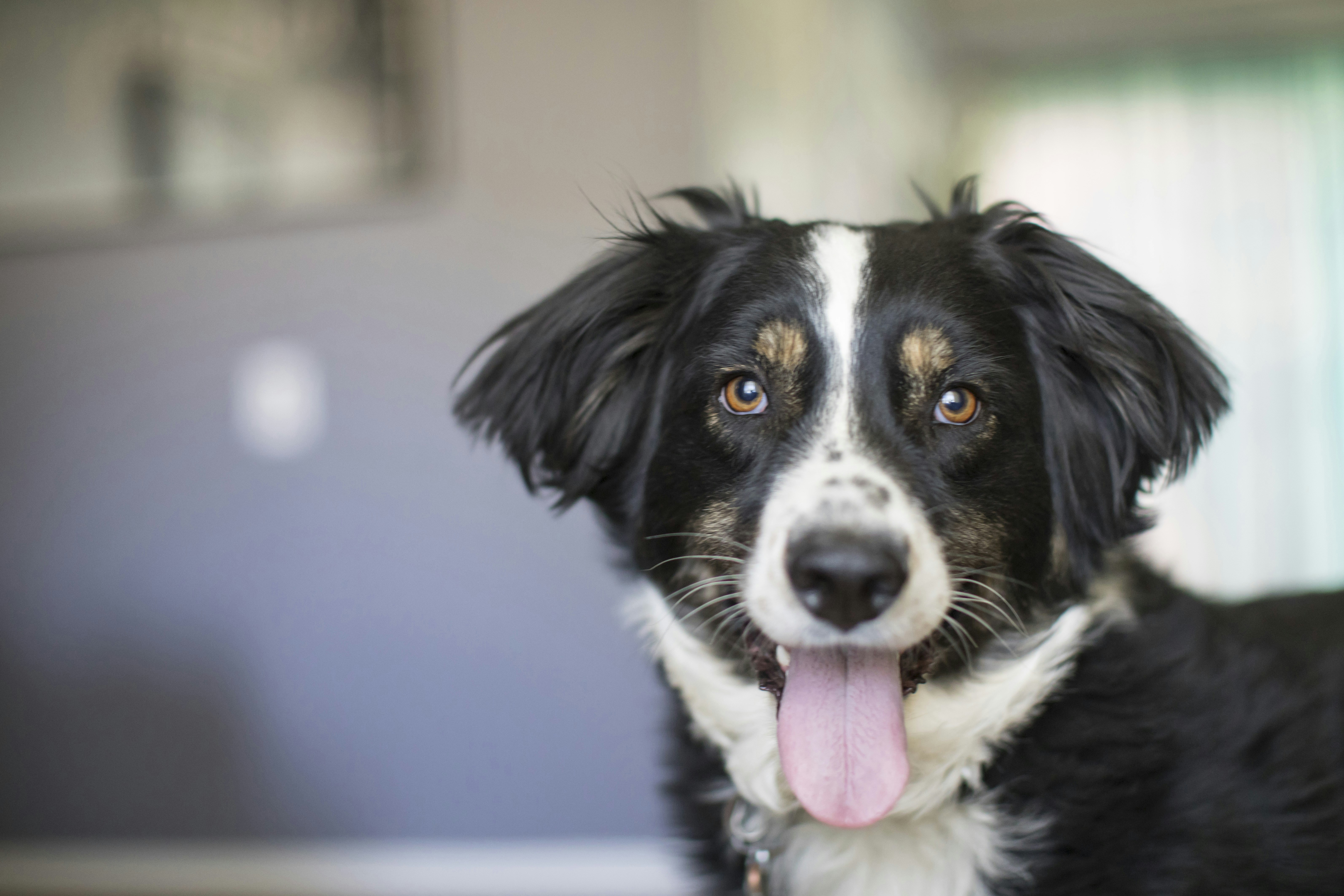 Photo by leo_visions_