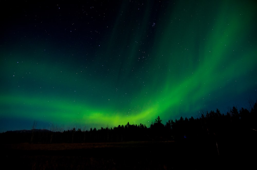 green aurora lights during night time
