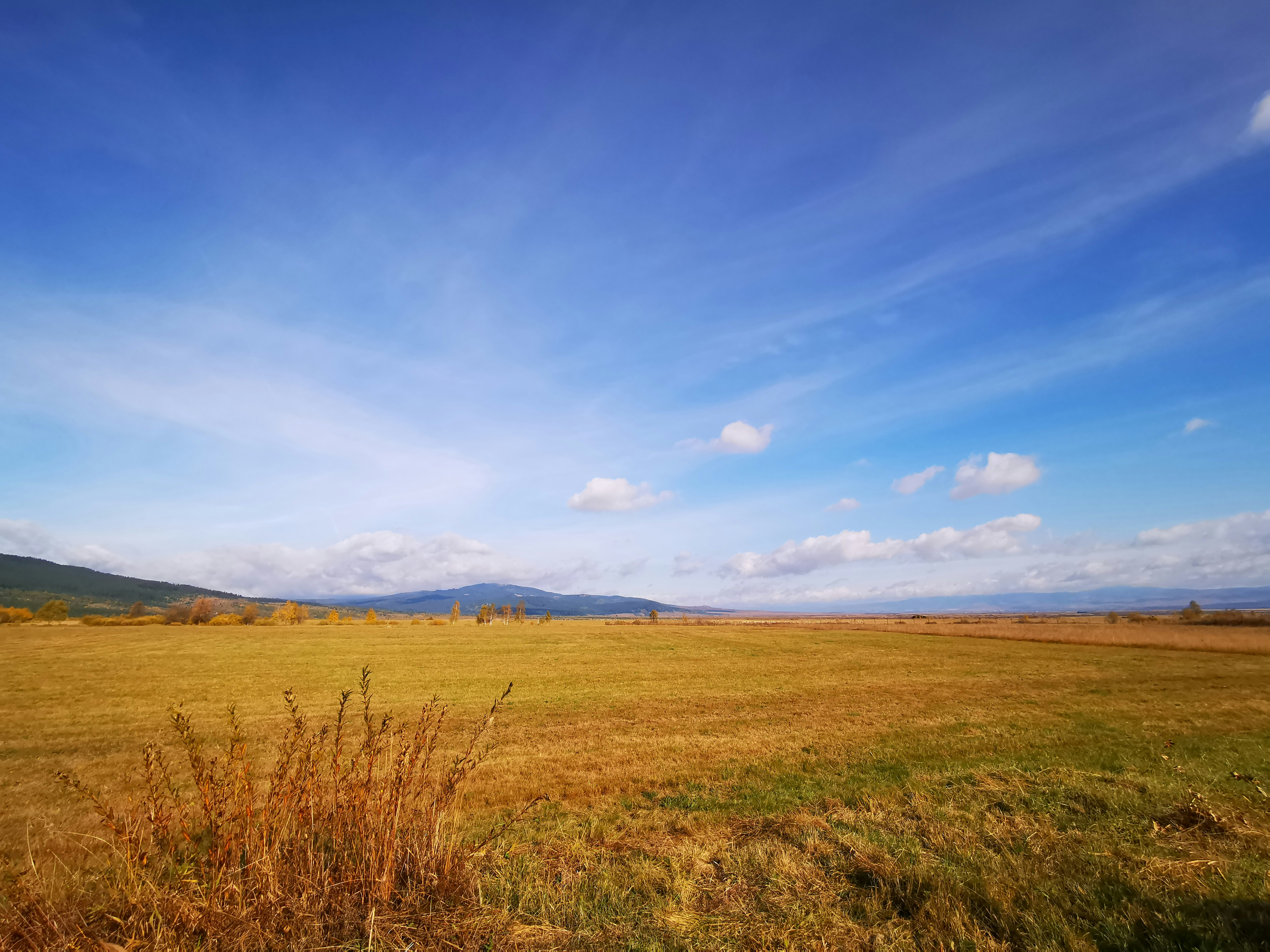 Photo by yetanotherguy