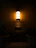 A dimmable wall sconce casting warm, gentle light over a stylish reading nook.