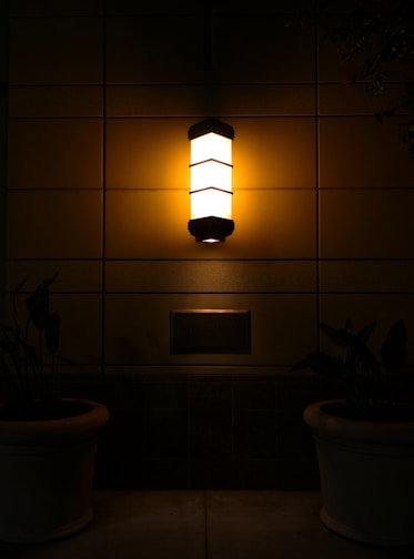 A variety of wall sconces illuminating a cozy space.