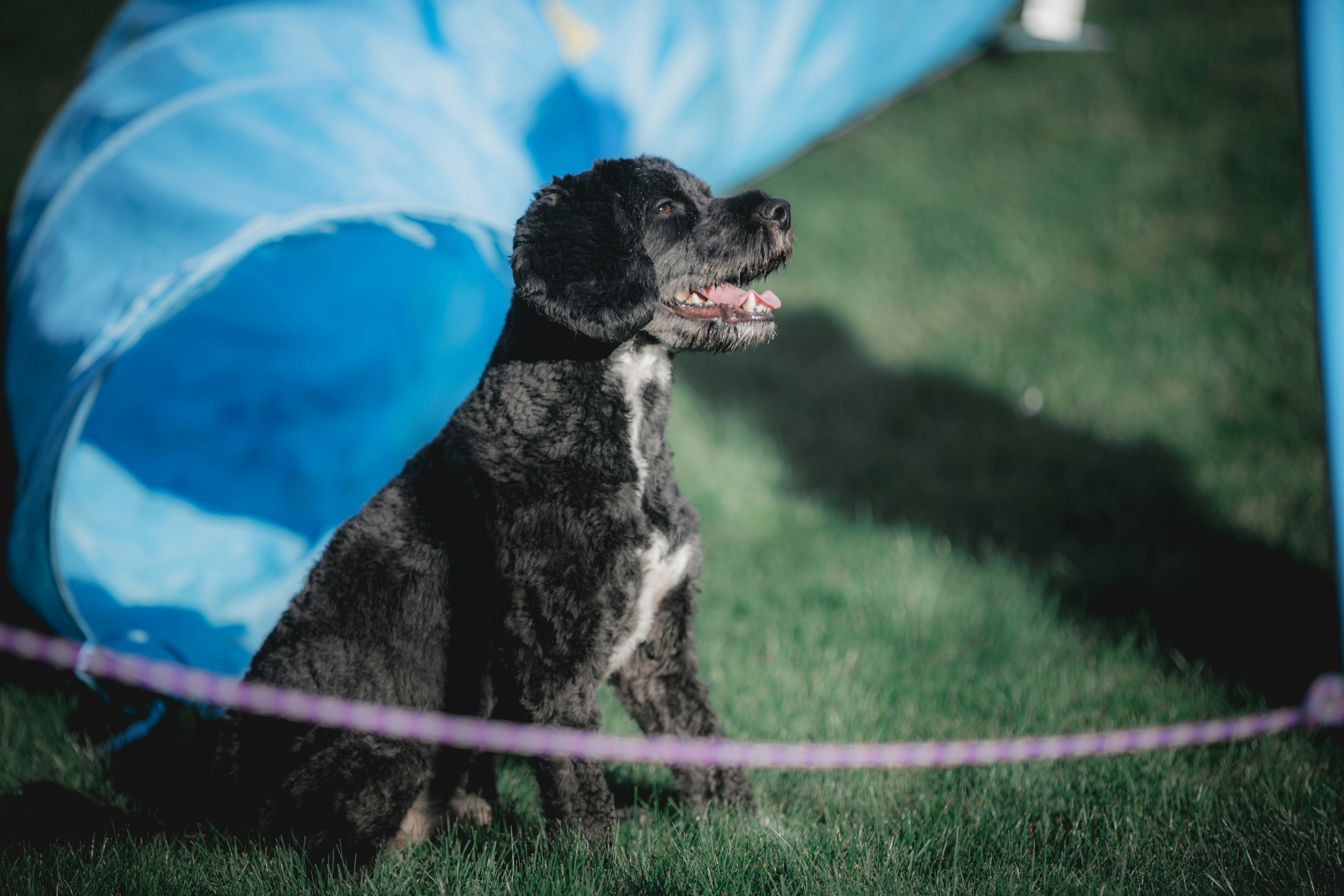 Photo by janoschphotos