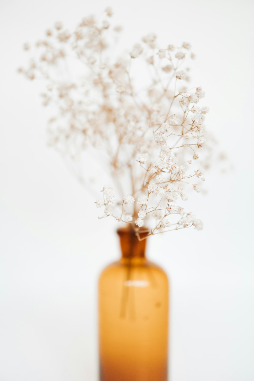 Flor blanca sobre botella de vidrio naranja
