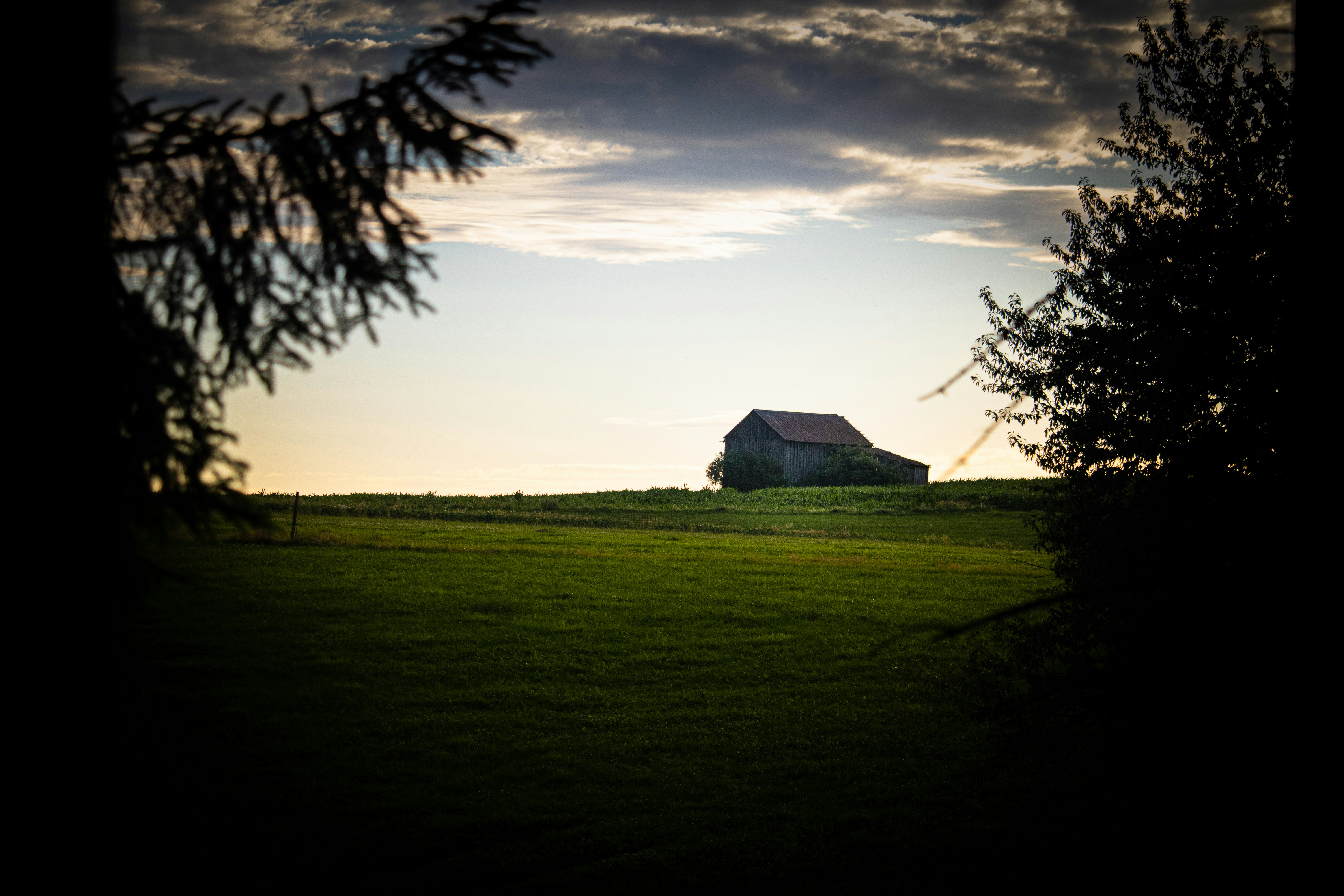 Photo by rob_vesseur