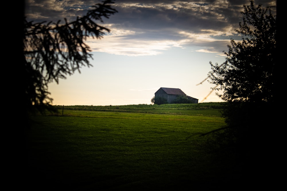house on green grass field during sunset