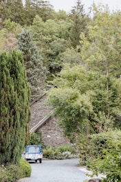 A serene countryside scene featuring a rustic stone house partially obscured by lush greenery and tall trees. A small blue vehicle is parked on a gravel driveway winding through the garden, surrounded by dense foliage.