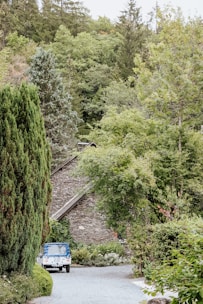 A serene countryside scene featuring a rustic stone house partially obscured by lush greenery and tall trees. A small blue vehicle is parked on a gravel driveway winding through the garden, surrounded by dense foliage.