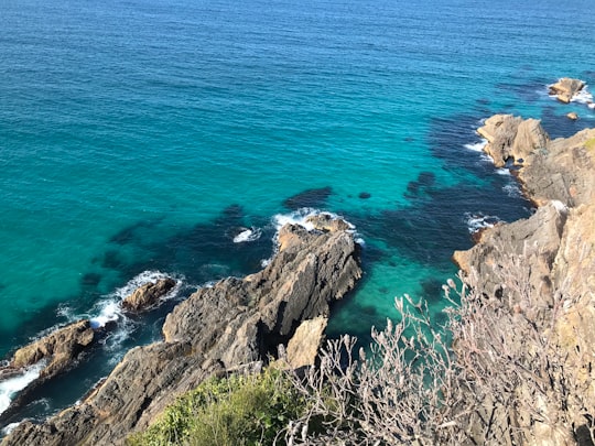 brown rock formation beside blue sea during daytime in Bicentennial Park Australia