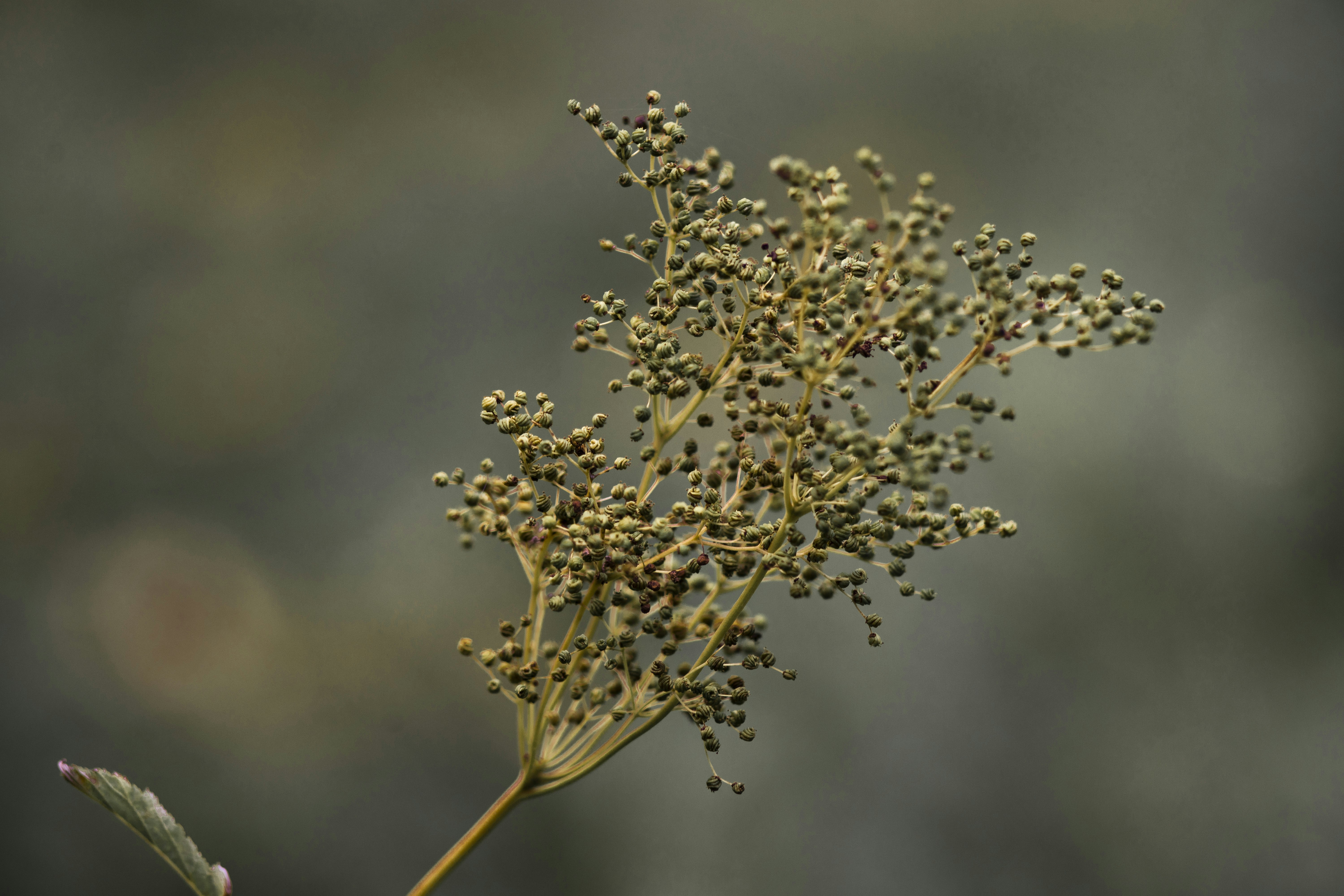 photo-1599816830158-a94925dc4280?ixid=M3