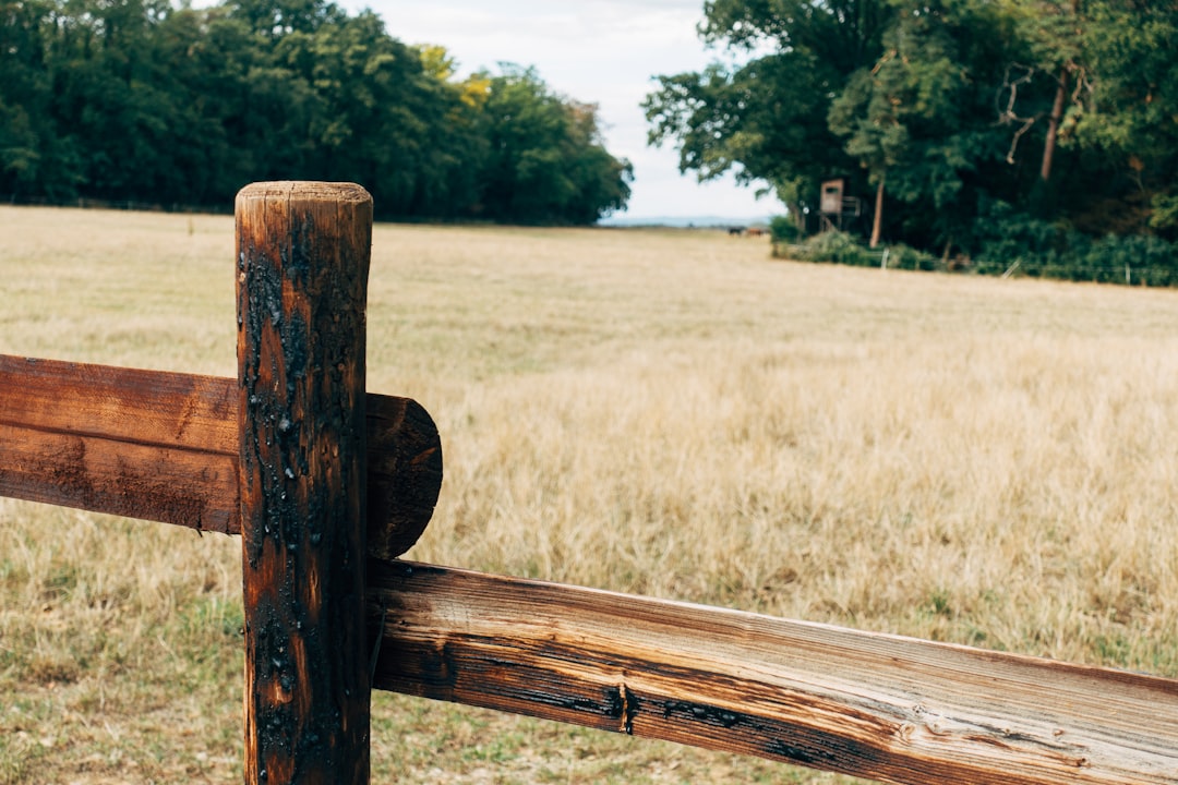 brown wooden fence on brown grass field during daytime